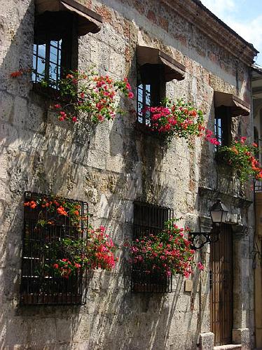 Window Boxes